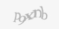 Захисний код