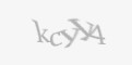 Захисний код