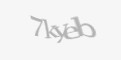 Захисний код